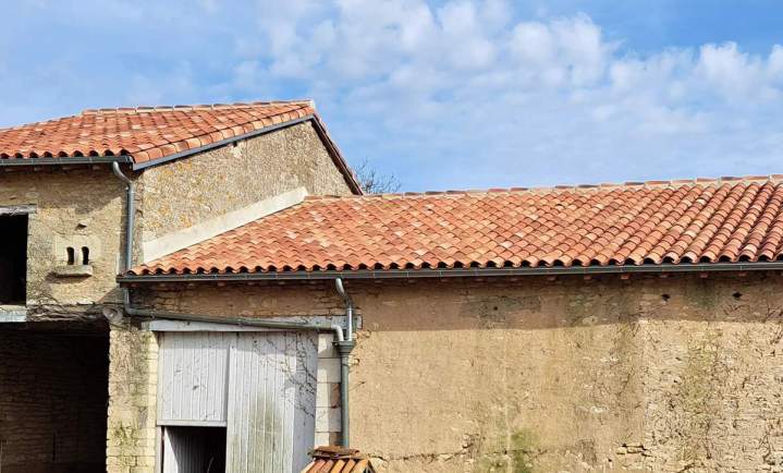 Tuiles traditionnelles Poitiers
