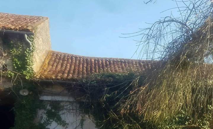 Tuiles traditionnelles Poitiers