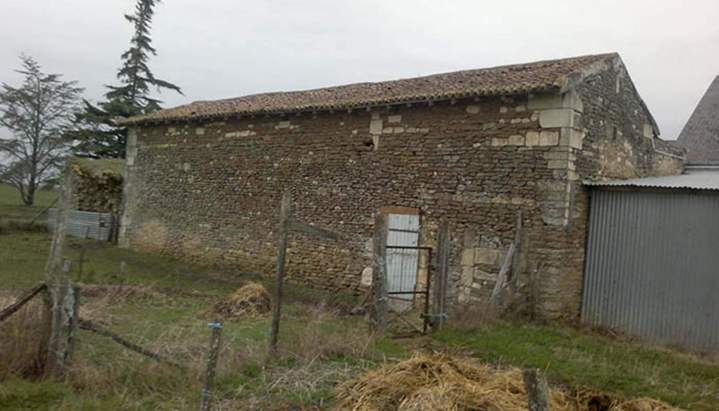 Remplacement tuiles Poitiers